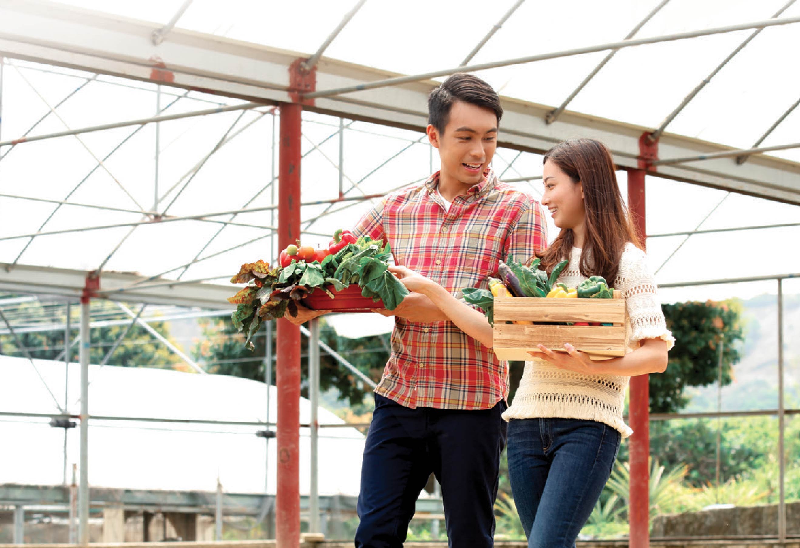 Blue Care_Pre-Marital Plan